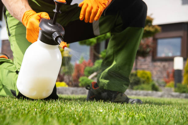 Pest Prevention Services in Longwood, FL